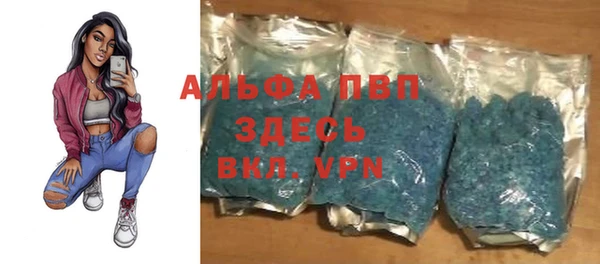 стаф Алексеевка
