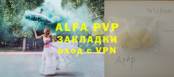 мет Алексин