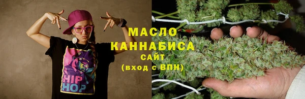 мет Алексин